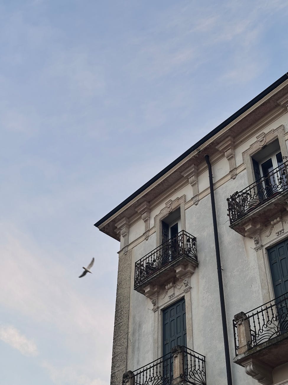 “Romeo and Juliet”: A Memento Mori for Us All